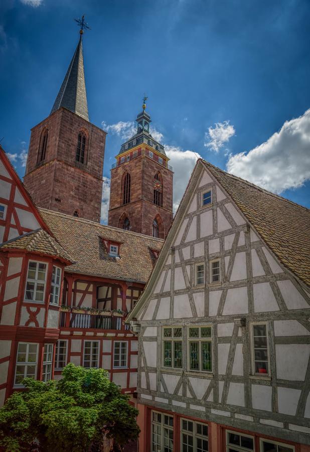 Steinhaeuser Hof Neustadt an der Weinstraße Exteriör bild