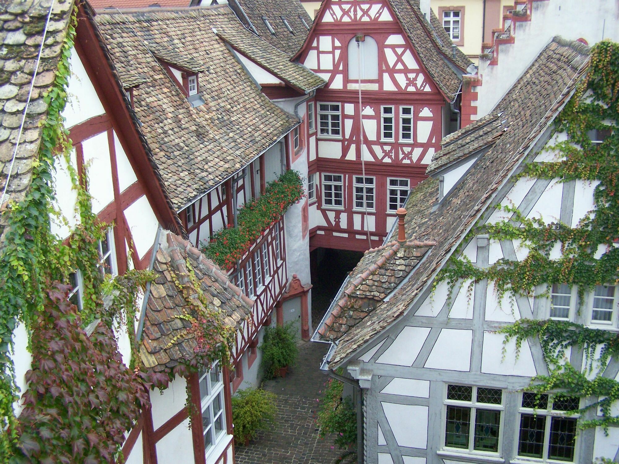 Steinhaeuser Hof Neustadt an der Weinstraße Exteriör bild